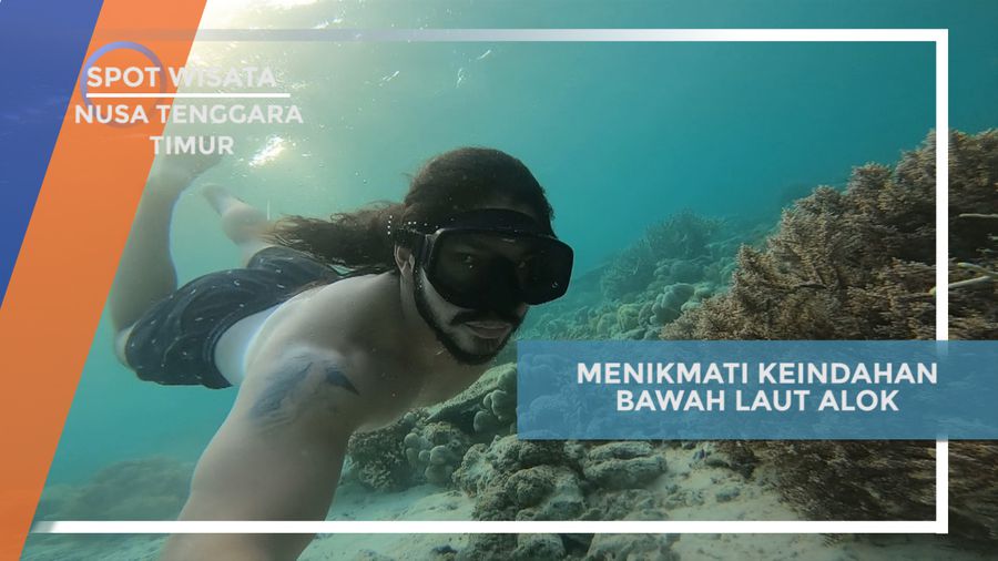 Menyelami Keindahan Laut Alok Timur di Nusa Tenggara Timur