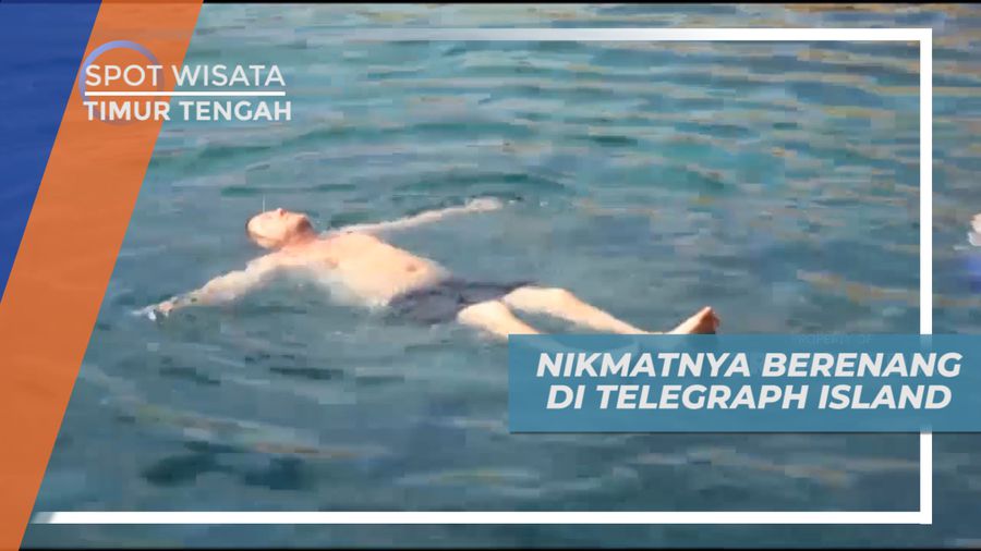 Berenang Nikmati Keindahan Laut di Telegraph Island, Timur Tengah