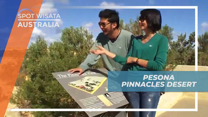 Menelusuri Pesona Pinnacle Desert di Perth, Australia