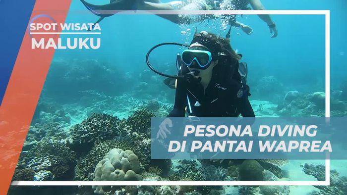 Memukau! Pesona Bawah Laut di Pantai Waprea Maluku