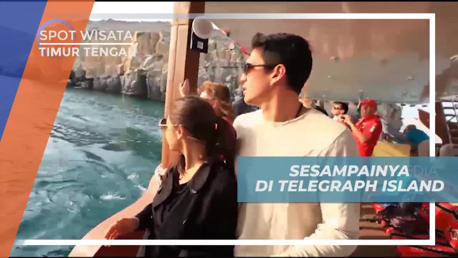 Menyelam di Laut Khasab yang Memukau, Timur Tengah