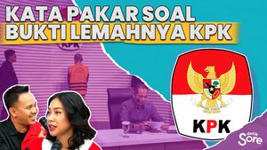 KPK Vs Paman Birin, Bukti Lunglainya KPK