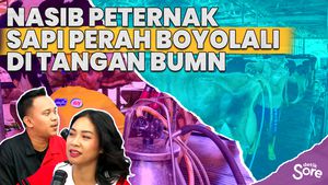 Mentan Beri Solusi Jitu Kepada Peternak Sapi Perah Boyolali