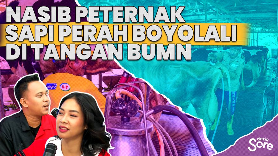 Mentan Beri Solusi Jitu Kepada Peternak Sapi Perah Boyolali