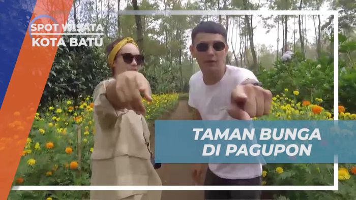 Menikmati Indahnya Taman Bunga di Pagupon, Kota Batu