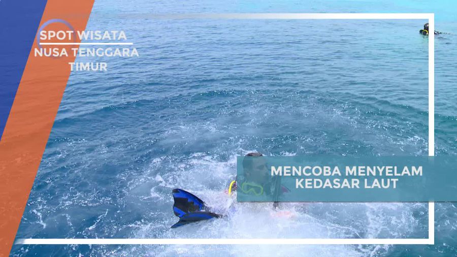 Menyelam Menikmati Keindahan Dasar Laut Alok Timur
