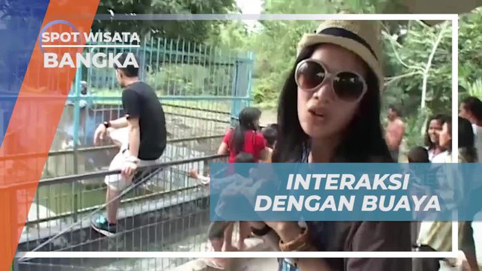 Memacu Adrenallin Memberi Makan Buaya di Bangka