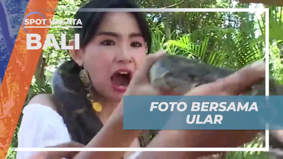Foto Seru Bersama Ular di Taman Safari Bali