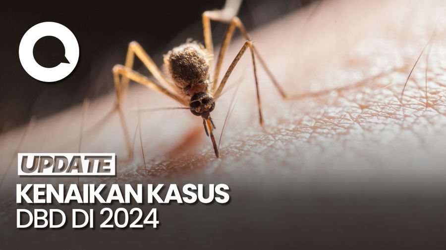 Video: Kasus DBD Nasional di 2024 Naik, Jawa Barat Jadi yang Tertinggi