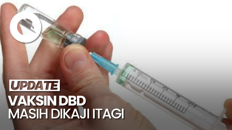 Video: Vaksin DBD Masih Dikaji untuk Masuk Program Nasional