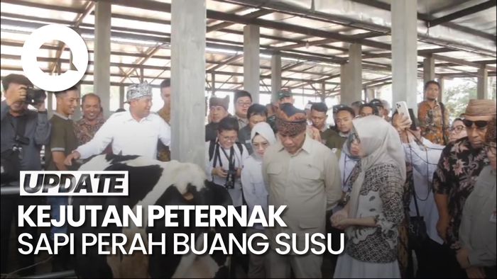 Video: Mentan Sambangi Peternakan Sapi Perah yang Viral Buang Susu di Pasuruan