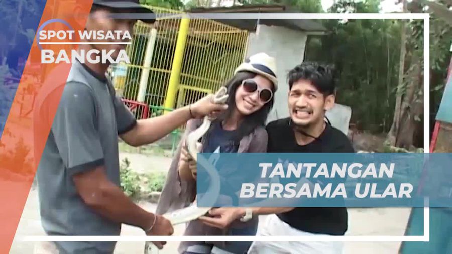 Memberanikan Diri Berfoto dengan Ular di Bangka