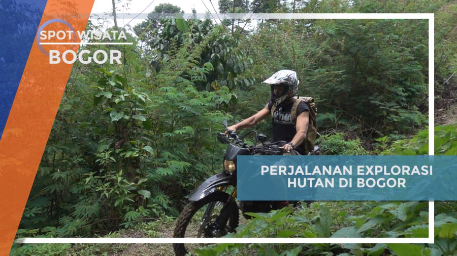 Menyusuri Hutan Menuju Curug Terindah di Bogor