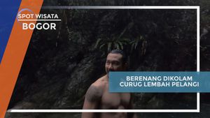  Serunya Berenang di Kolam Alam Curug Lembah Pelangi, Bogor