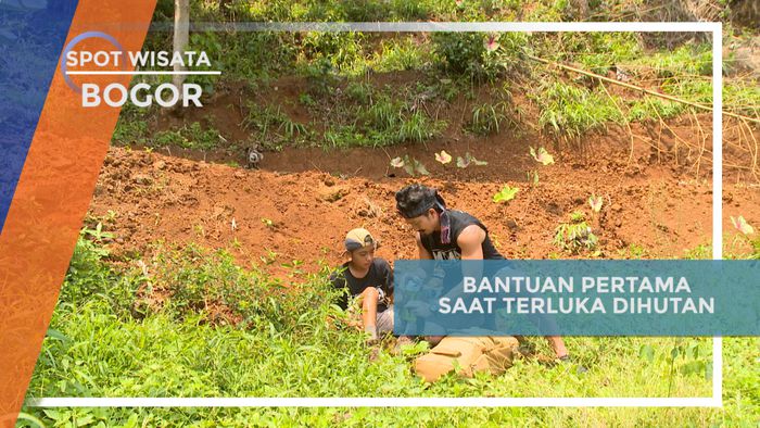 Tips Pertolongan Pertama Saat Terjatuh di Hutan Bogor