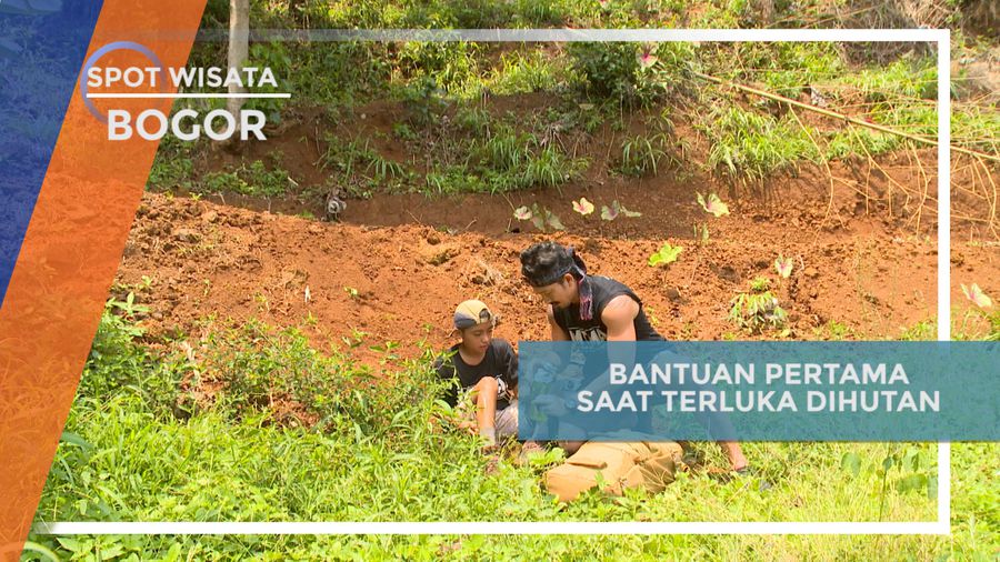 Tips Pertolongan Pertama Saat Terjatuh di Hutan Bogor