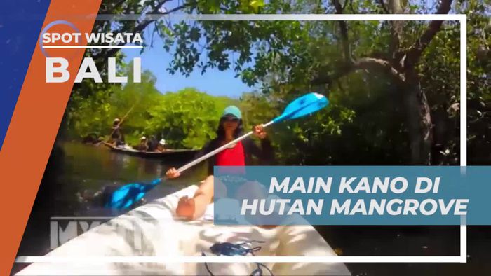Menyusuri Hutan Mangrove dengan Kano di Lembongan, Bali