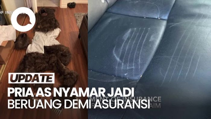 Video: Duh! Pria di AS Nyamar Jadi Beruang-Rusak Mobil Mewah Demi Asuransi