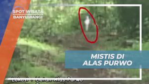 Keunikan Suasana Mistis di Alas Purwo Banyuwangi