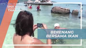 Berenang Bersama Ikan Hias di Egg Island Phuket Thailand