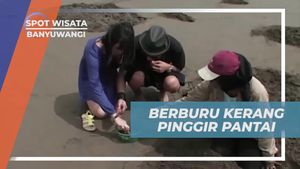 Mencari Kerang di Pantai Ngagelan Banyuwangi