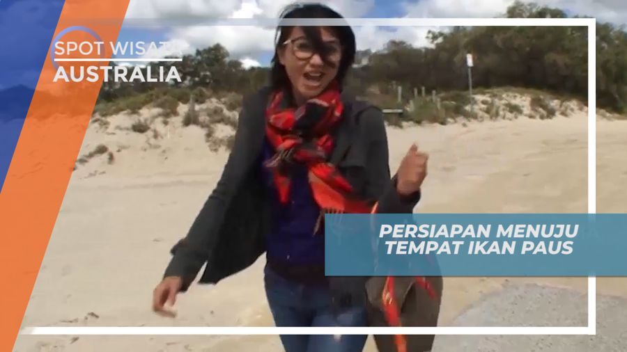 Bersiap untuk Menyaksikan Ikan Paus di Australia 