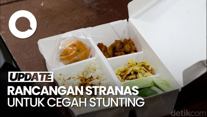 Video: Rancangan Stranas Pencegahan Stunting Program Makan Bergizi Gratis