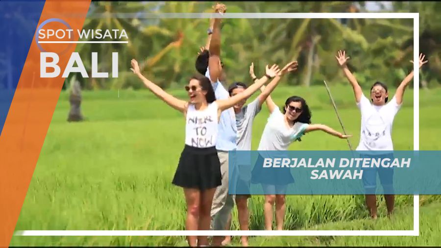 Berjalan di Tengah Sawah, Bali
