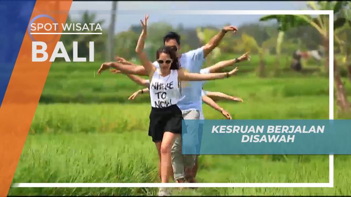 Menikmati Udara Segar Sawah di Bali