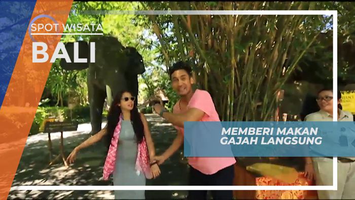 Memberi Makan Gajah Langsung, Bali