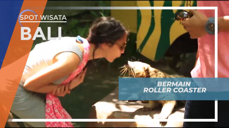 Bermain Roller Coaster, Bali