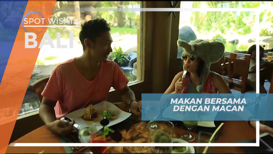  Makan Bersama dengan Macan, Bali