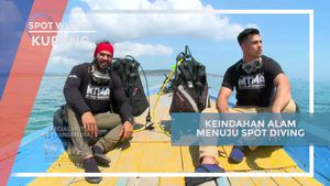 Menjelajahi Keindahan Alam Menuju Spot Diving di Kupang