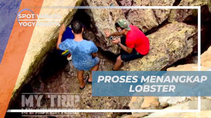 Menangkap Lobster di Pulau Panjang, Yogyakarta