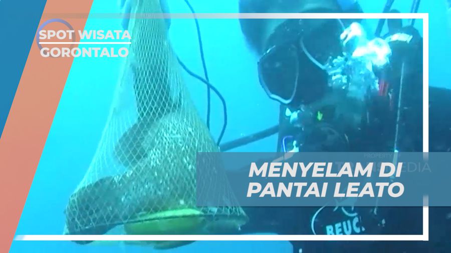 Menyelam di Keindahan Bawah Laut Pantai Leato, Gorontalo