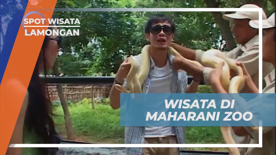 Mengunjungi Maharani Zoo dan Goa di Lamongan