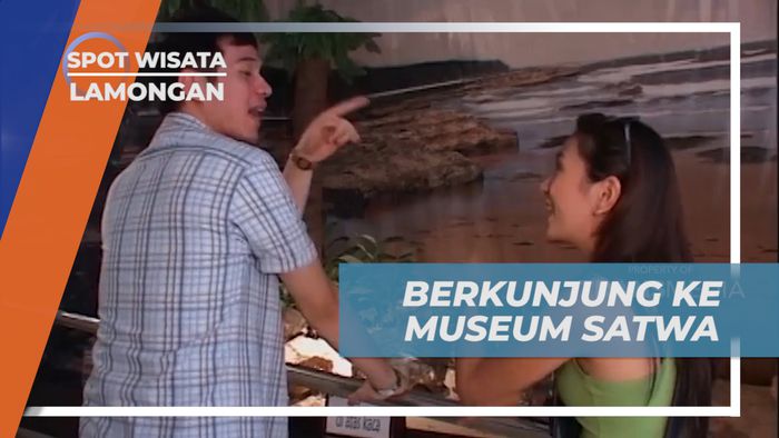 Menjelajahi Museum Satwa di Maharani Zoo, Lamongan