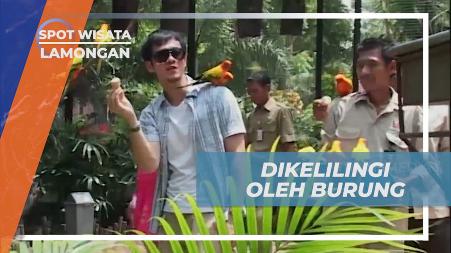 Dikelilingi Ribuan Burung di Maharani Zoo, Lamongan