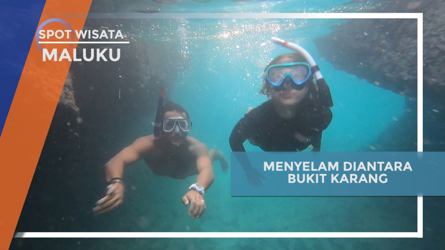 Menyelam di Antara Bukit Karang Pulau Sukler di Maluku