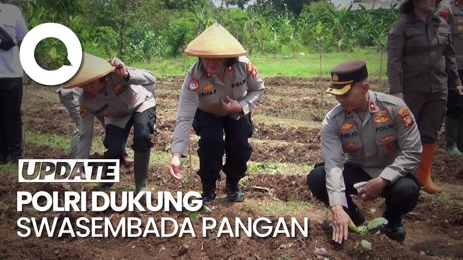 Video: Dukung Swasembada Pangan, Polres Jakbar Tanam Bibit di Lahan 1,5 Hektare