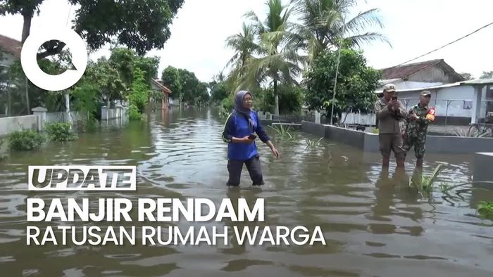 Video: Ratusan Rumah Warga di Lumajang Terendam Banjir Gegara Sungai Meluap
