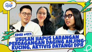 Usulan Hapus Larangan Perdagangan Daging Anjing-Kucing, Aktivis Datangi DPR