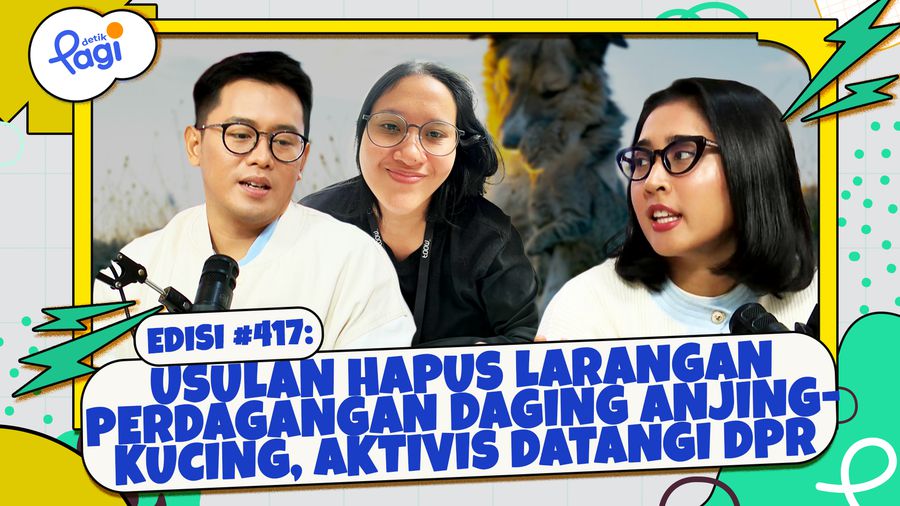 Usulan Hapus Larangan Perdagangan Daging Anjing-Kucing, Aktivis Datangi DPR