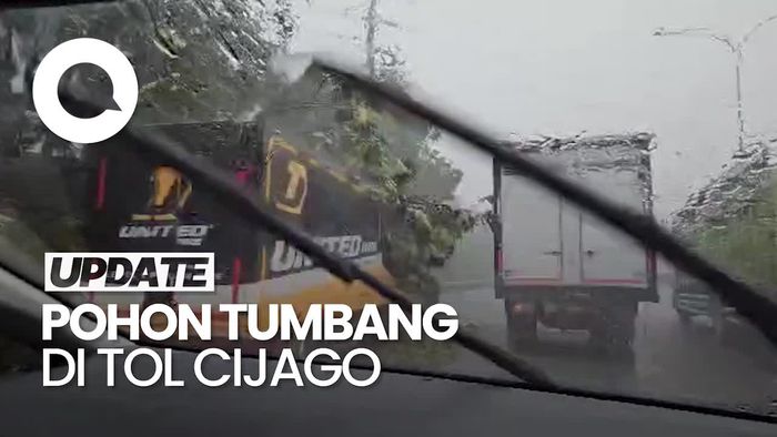 Video: Pohon Tumbang Timpa Mobil Box di Tol Cijago, Lalin Macet