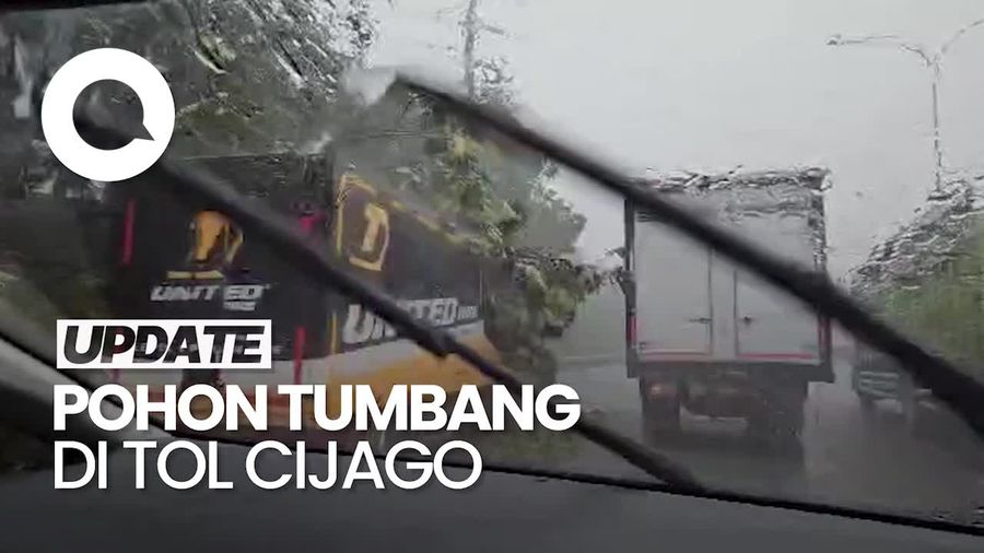 Video: Pohon Tumbang Timpa Mobil Box di Tol Cijago, Lalin Macet