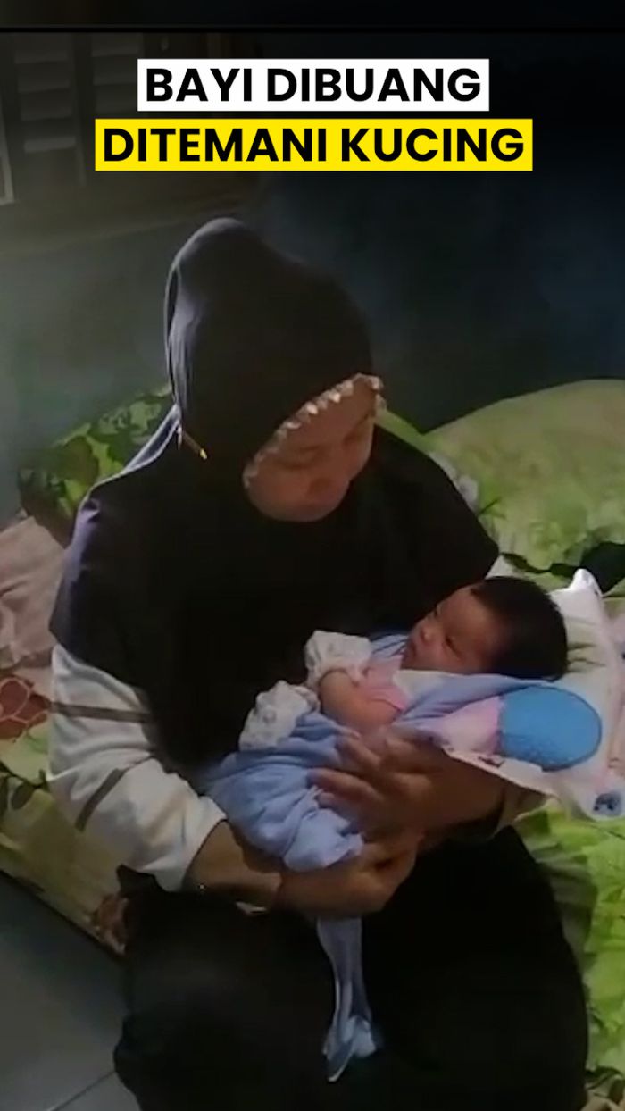 Video: Kucing Temani Bayi yang Dibuang di Jembrana Bali