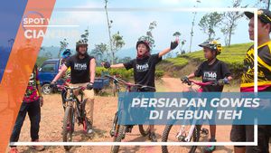Persiapkan Gowes Sepeda Seru di Kebun Teh Penyairan, Cianjur  