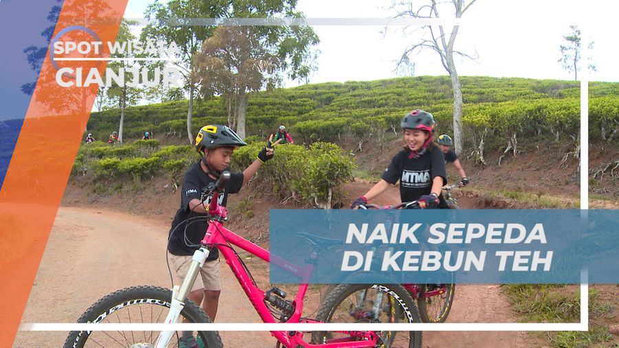 Rasakan Serunya Bersepeda Menyusuri Kebun Teh Penyairan, Cianjur  