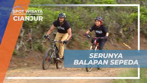 Nikmati Adrenalin Balapan Sepeda di Kebun Teh Penyairan, Cianjur