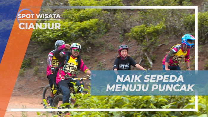 Jelajahi Keindahan Puncak Kebun Teh Penyairan dengan Sepeda, Cianjur 